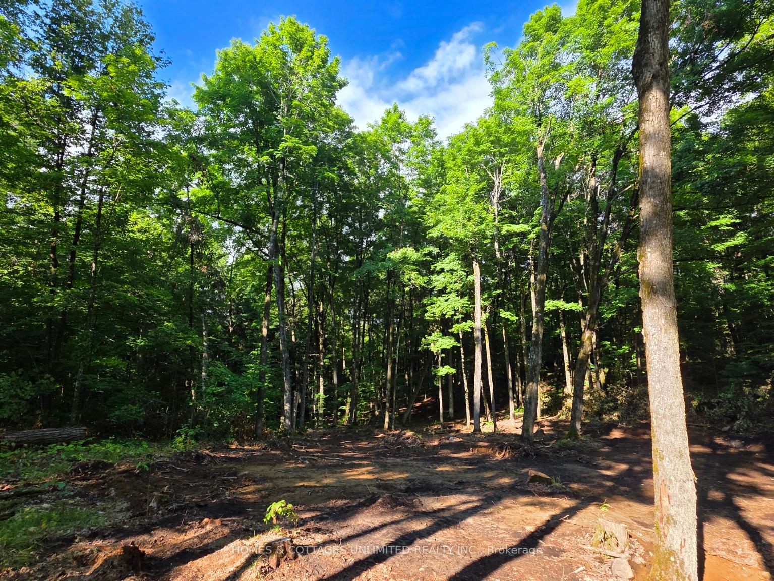 Photo 5 of 2456 2nd Conc Dalhousie Concession, Lanark Highlands, Lanark Highlands (Dalhousie) Twp — HOMEH