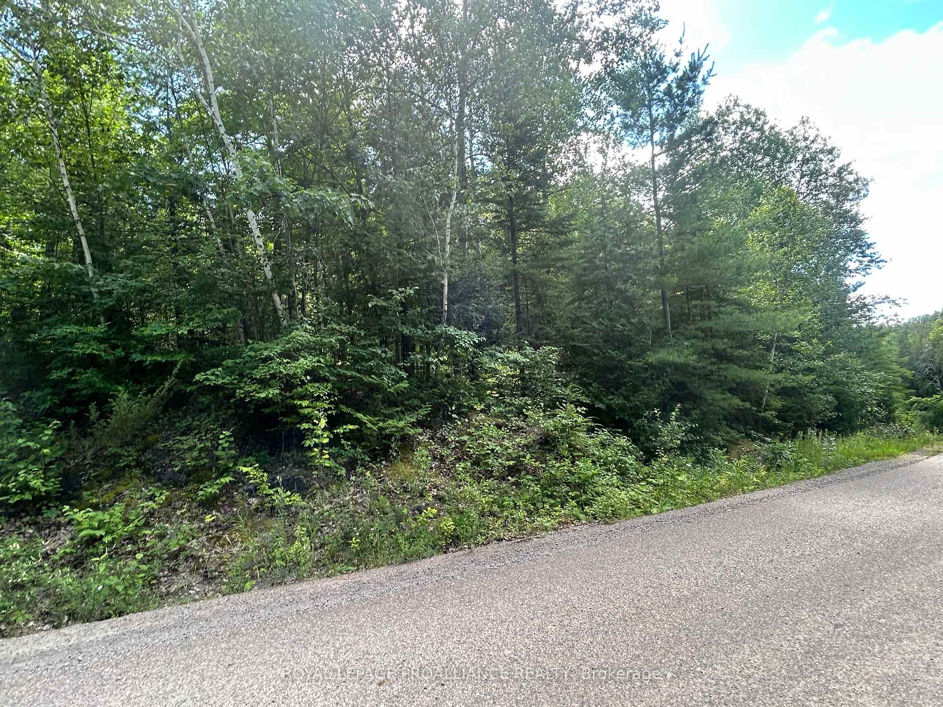 Photo 1 of Trebbien Road, Bonnechere Valley, Eganville/Bonnechere Twp — HOMEH