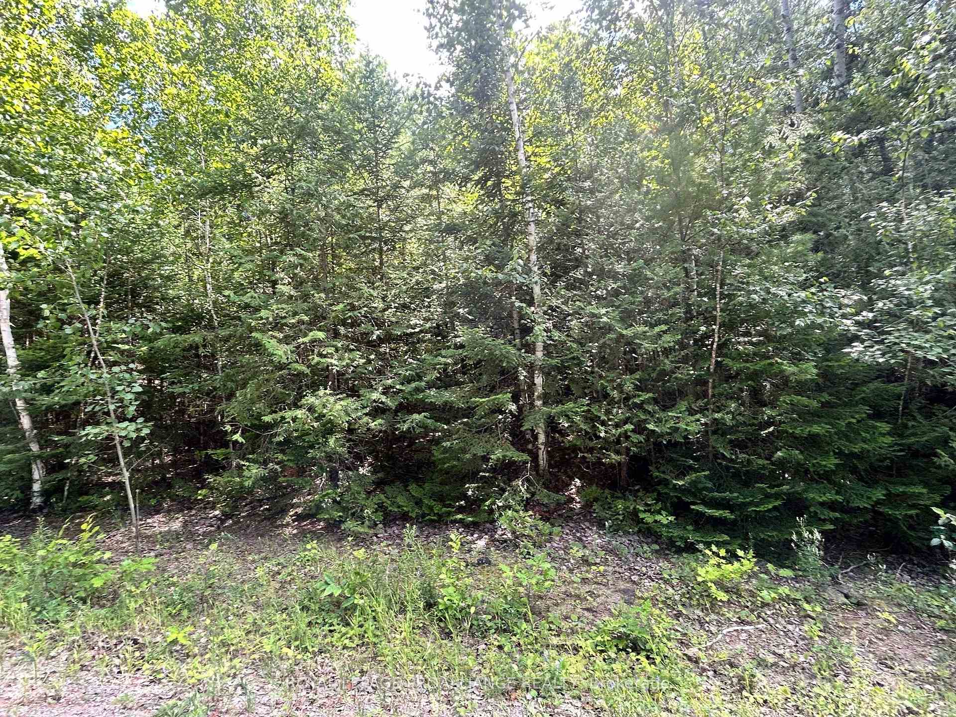Photo 6 of Trebbien Road, Bonnechere Valley, Eganville/Bonnechere Twp — HOMEH