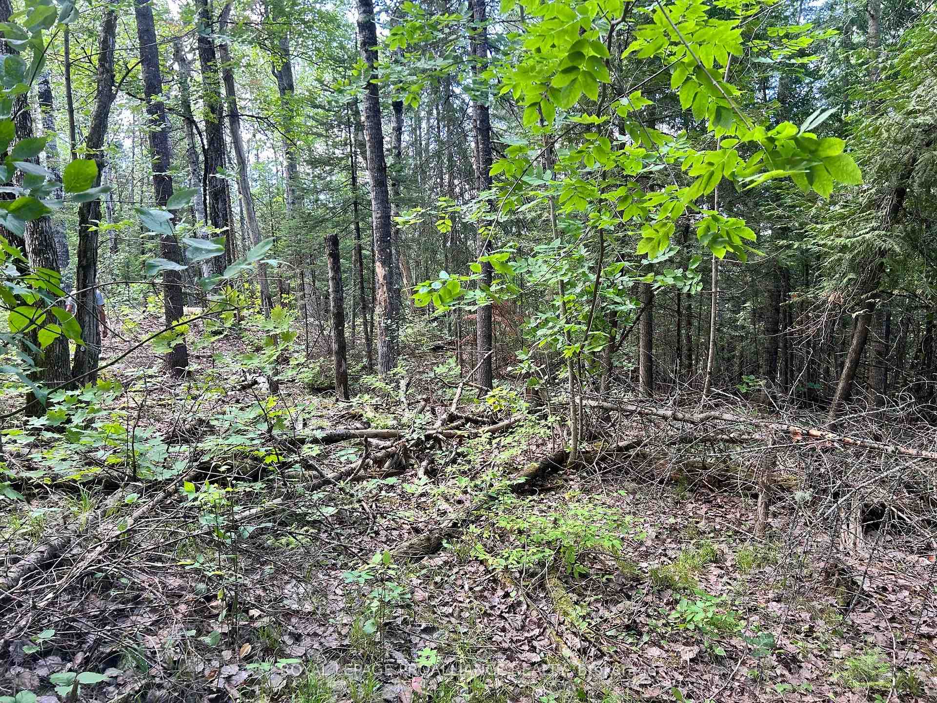 Photo 5 of Trebbien Road, Bonnechere Valley, Eganville/Bonnechere Twp — HOMEH