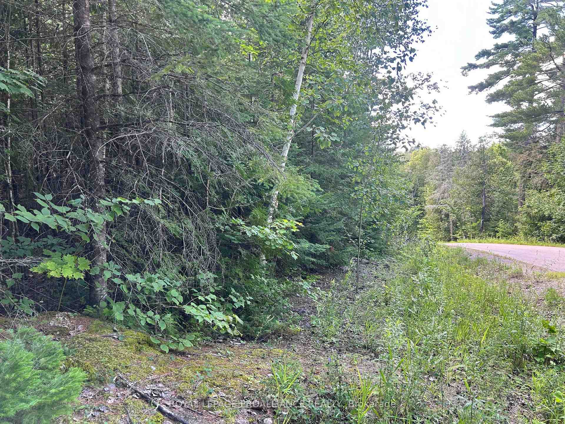 Photo 3 of Trebbien Road, Bonnechere Valley, Eganville/Bonnechere Twp — HOMEH
