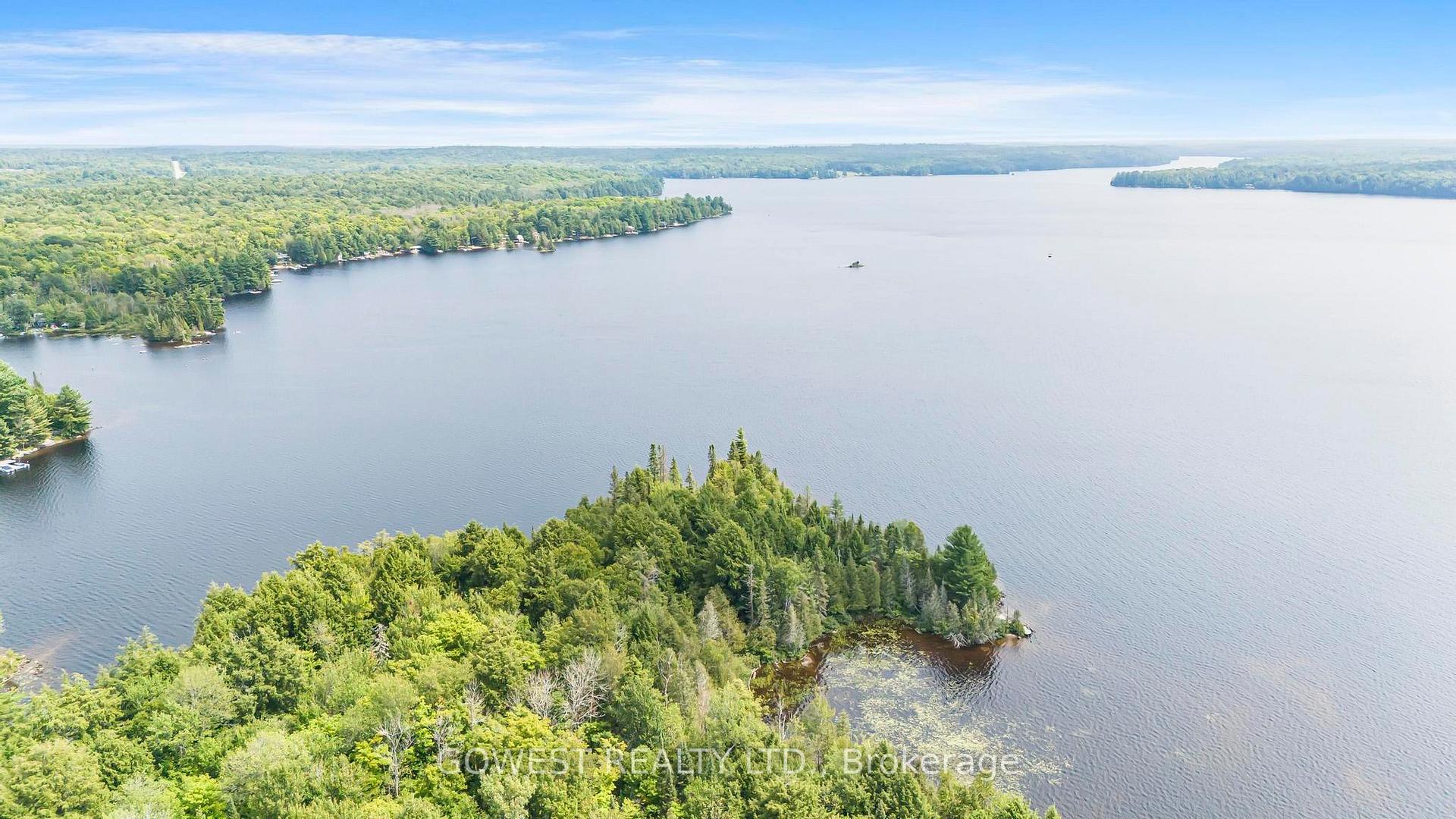 Photo 40 of 5993C Highway 124, Magnetawan, Ahmic Harbour — HOMEH