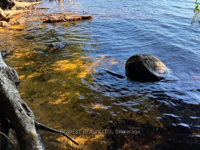 Photo 3 of 5993C Highway 124, Magnetawan, Ahmic Harbour — HOMEH