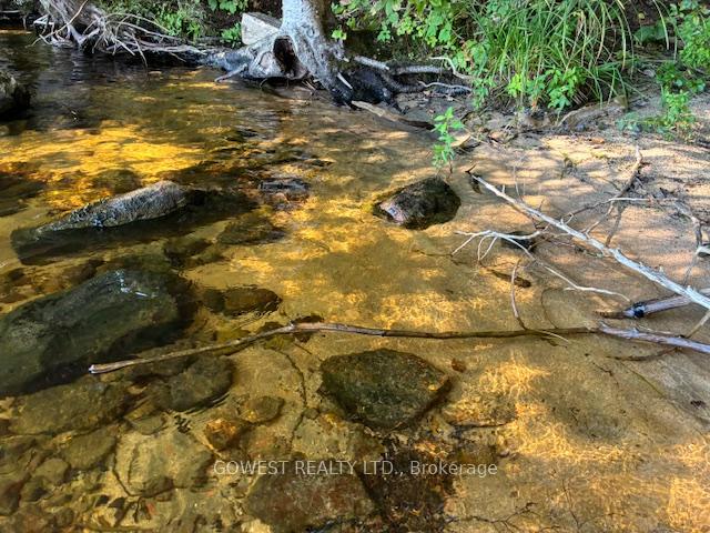 Photo 4 of 5993C Highway 124, Magnetawan, Ahmic Harbour — HOMEH