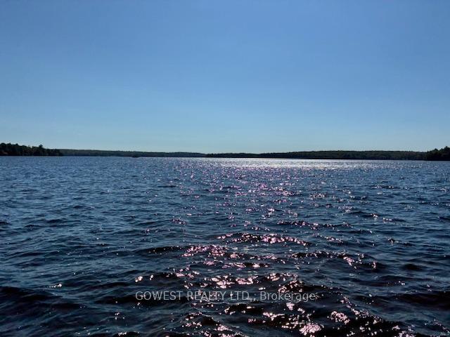 Photo 5 of 5993C Highway 124, Magnetawan, Ahmic Harbour — HOMEH