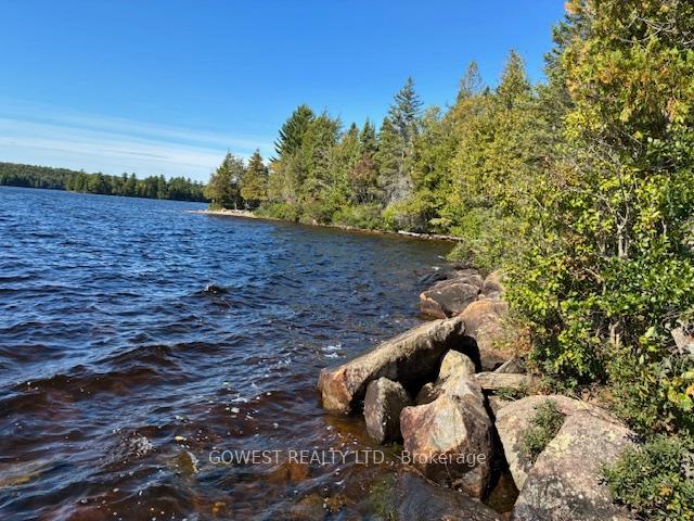 Photo 14 of 5993C Highway 124, Magnetawan, Ahmic Harbour — HOMEH