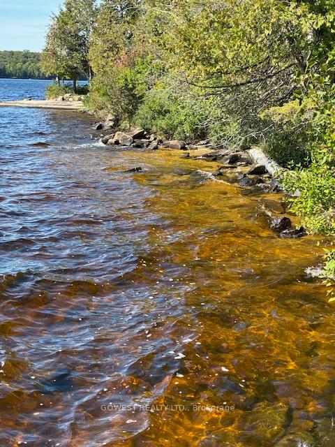 Photo 30 of 5993C Highway 124, Magnetawan, Ahmic Harbour — HOMEH