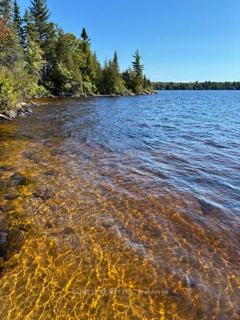 Photo 22 of 5993C Highway 124, Magnetawan, Ahmic Harbour — HOMEH