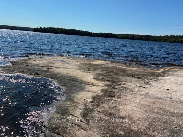 Photo 18 of 5993C Highway 124, Magnetawan, Ahmic Harbour — HOMEH