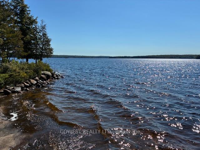 Photo 26 of 5993C Highway 124, Magnetawan, Ahmic Harbour — HOMEH