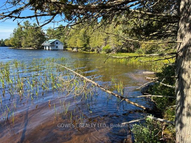 Photo 23 of 5993C Highway 124, Magnetawan, Ahmic Harbour — HOMEH