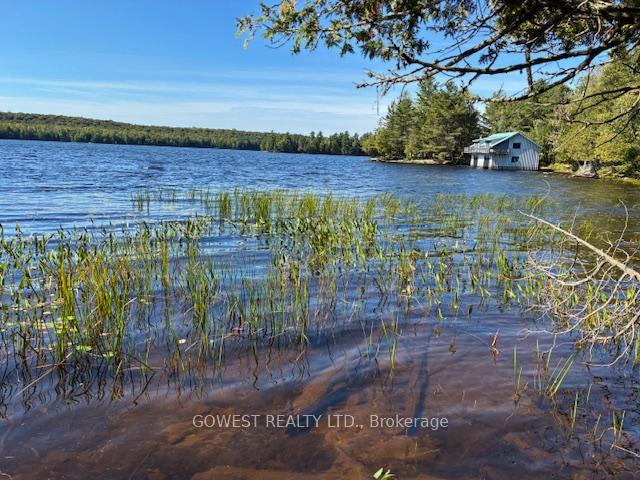 Photo 36 of 5993C Highway 124, Magnetawan, Ahmic Harbour — HOMEH