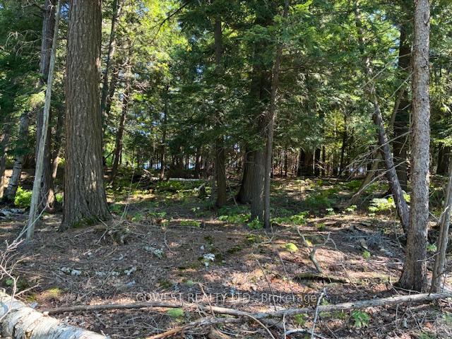 Photo 35 of 5993C Highway 124, Magnetawan, Ahmic Harbour — HOMEH