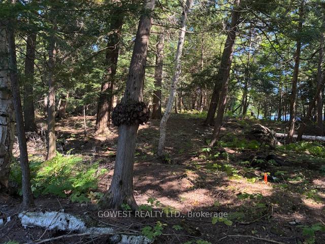 Photo 32 of 5993C Highway 124, Magnetawan, Ahmic Harbour — HOMEH