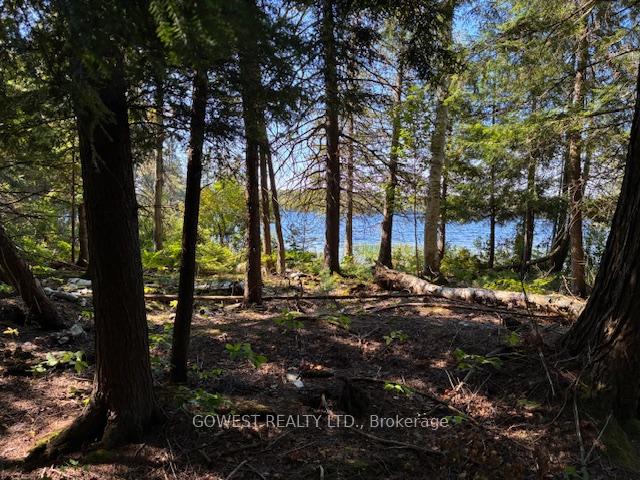 Photo 41 of 5993C Highway 124, Magnetawan, Ahmic Harbour — HOMEH