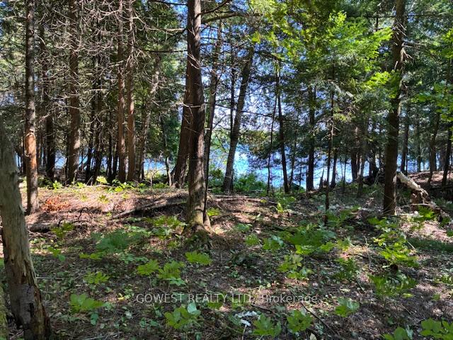 Photo 37 of 5993C Highway 124, Magnetawan, Ahmic Harbour — HOMEH