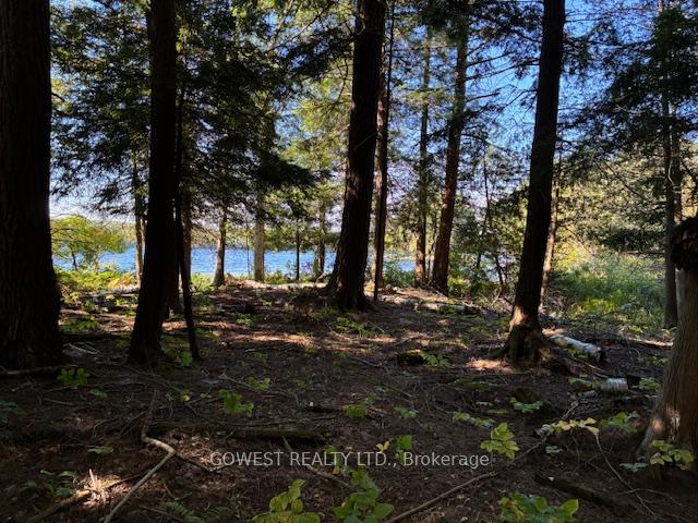 Photo 38 of 5993C Highway 124, Magnetawan, Ahmic Harbour — HOMEH