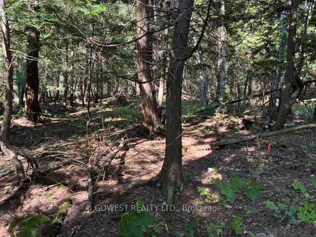 Photo 28 of 5993C Highway 124, Magnetawan, Ahmic Harbour — HOMEH
