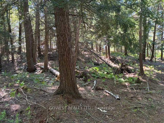 Photo 33 of 5993C Highway 124, Magnetawan, Ahmic Harbour — HOMEH