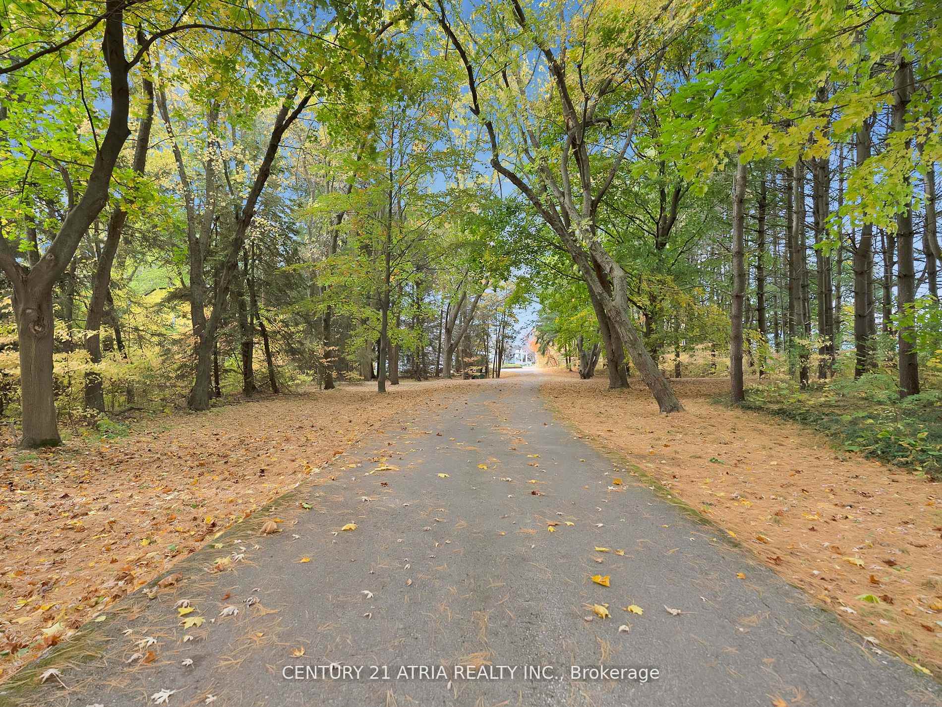 Photo 39 of 14210 7th Concession Road, King, Rural King — HOMEH
