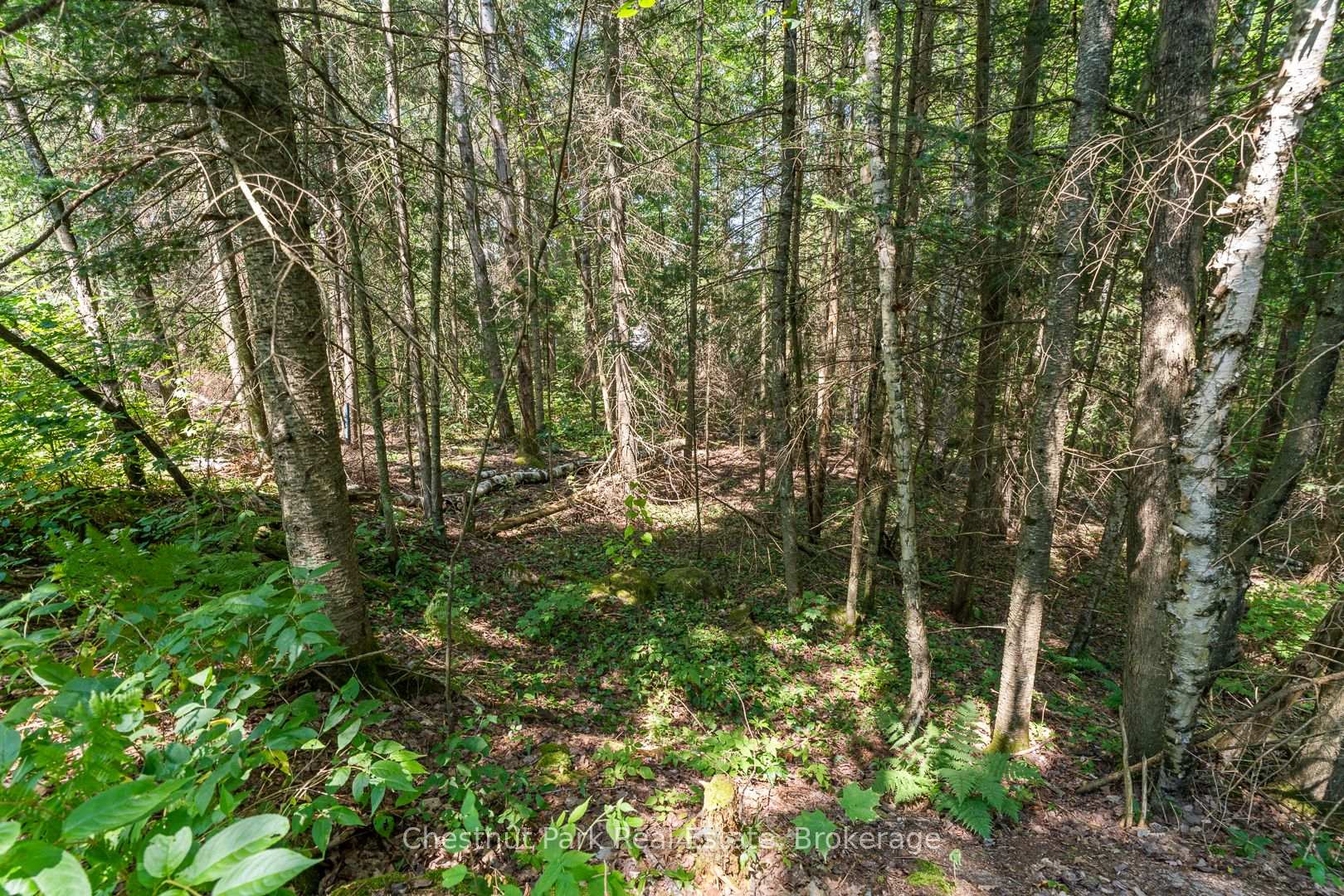Photo 38 of 25 Eagle Lake Road, South River — HOMEH