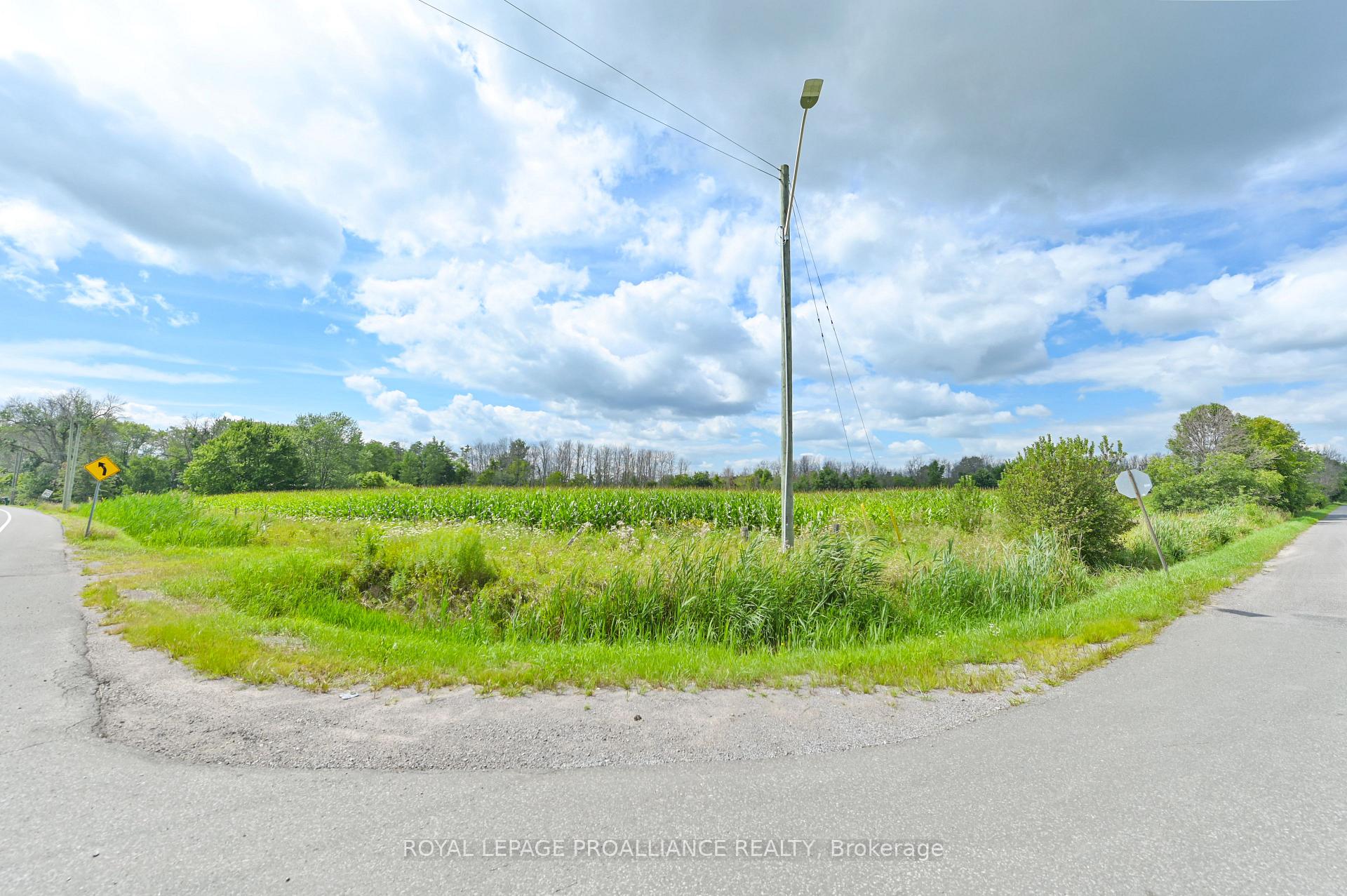 Photo 2 of Hamilton Road, Belleville, Belleville Ward — HOMEH