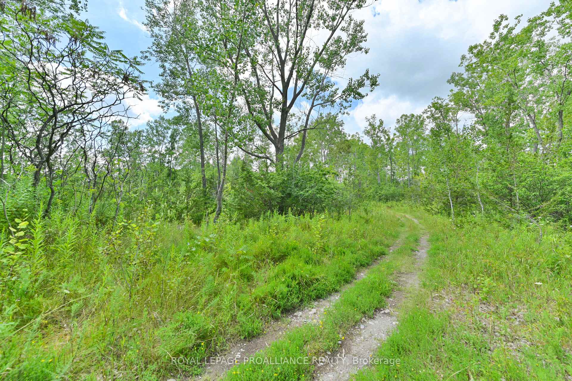 Photo 7 of Hamilton Road, Belleville, Belleville Ward — HOMEH