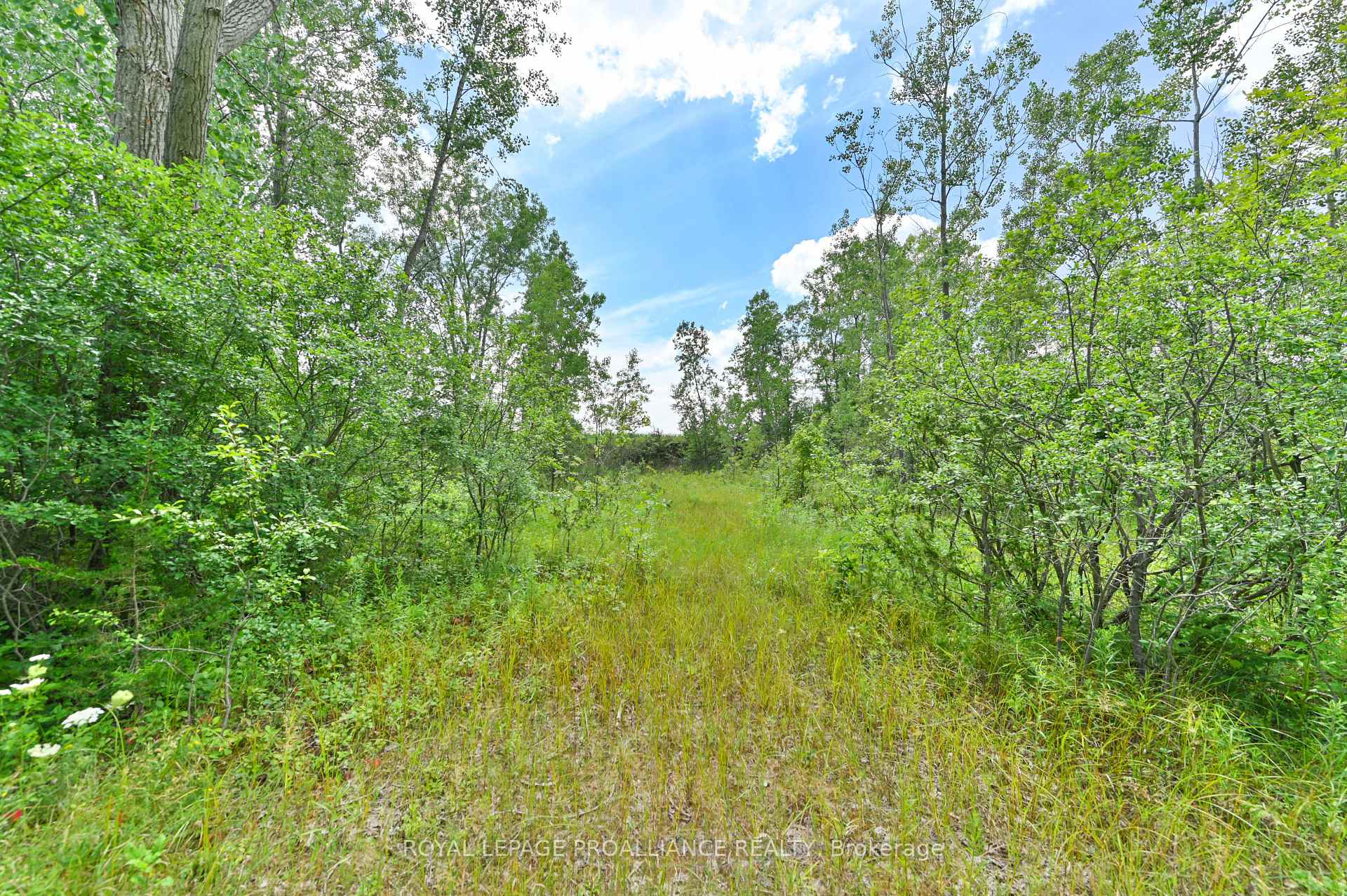 Photo 8 of Hamilton Road, Belleville, Belleville Ward — HOMEH