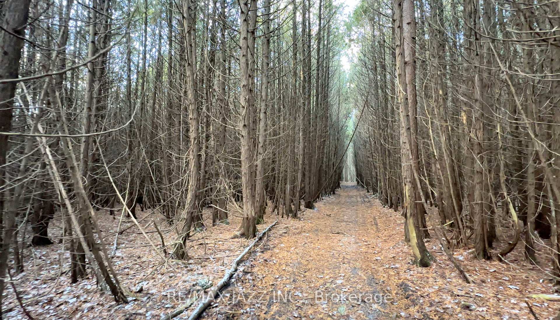 Photo 22 of 6320 Old Scugog Road, Clarington, Rural Clarington — HOMEH