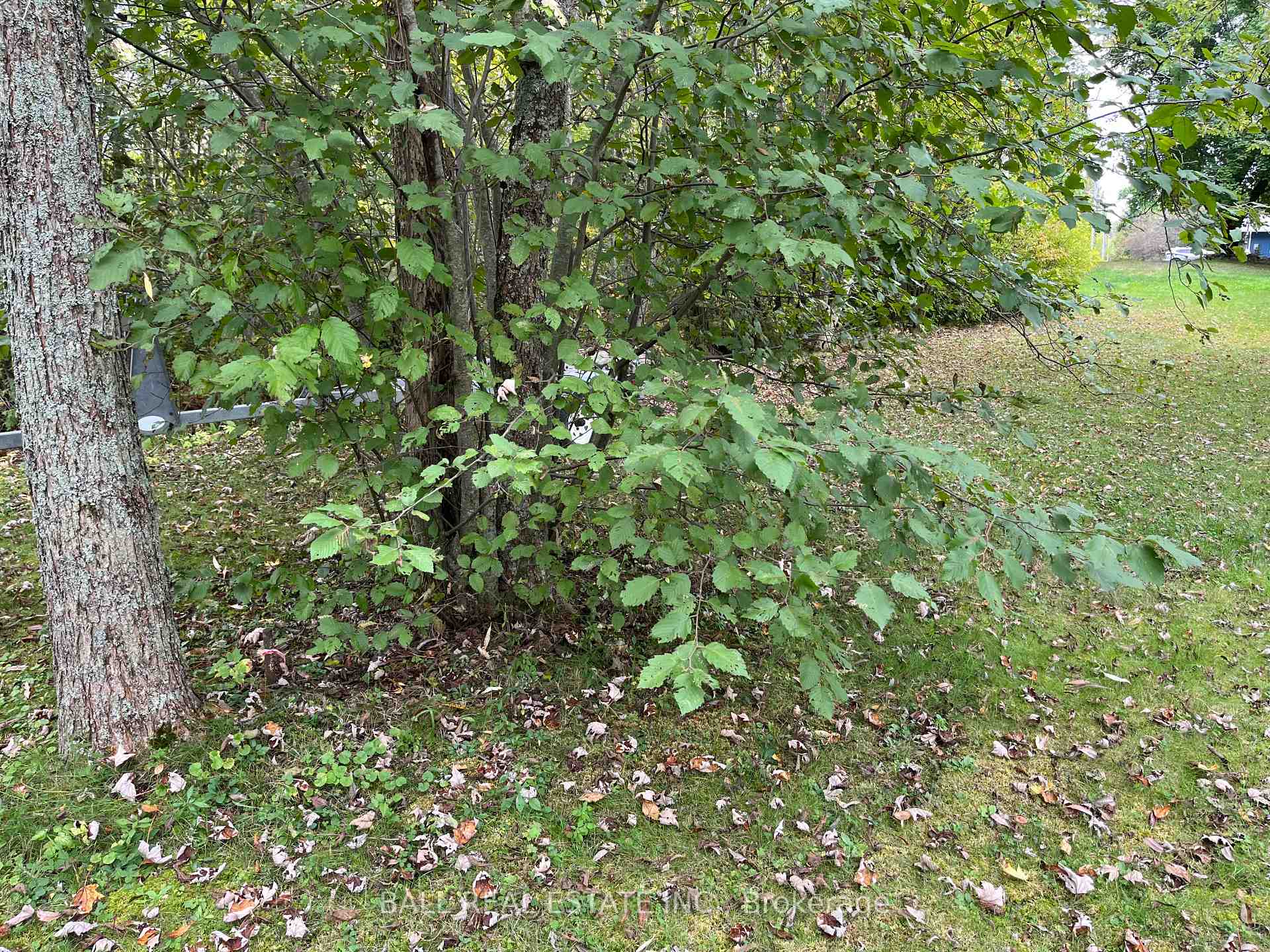 Photo 19 of 60 Millers Lane, Wollaston — HOMEH