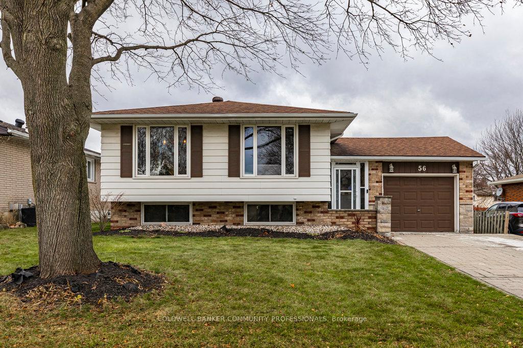 Photo 2 of 56 Elgar Avenue, Hamilton, Rolston — HOMEH