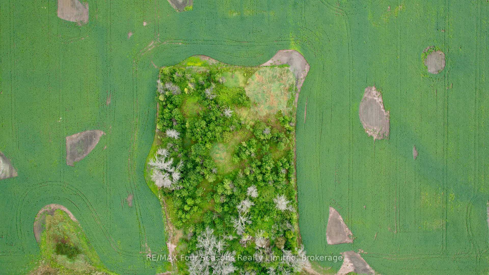 Photo 5 of 1356 Concession Road 10, Kincardine — HOMEH