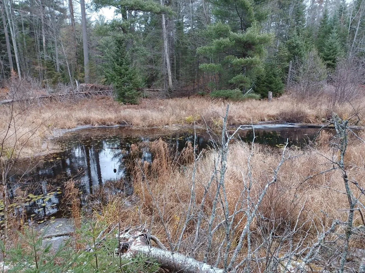 Photo 6 of 1678 Locksley Road, Laurentian Valley — HOMEH