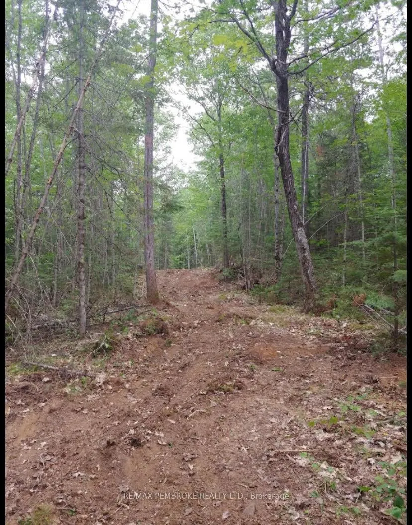 Photo 11 of 1678 Locksley Road, Laurentian Valley — HOMEH