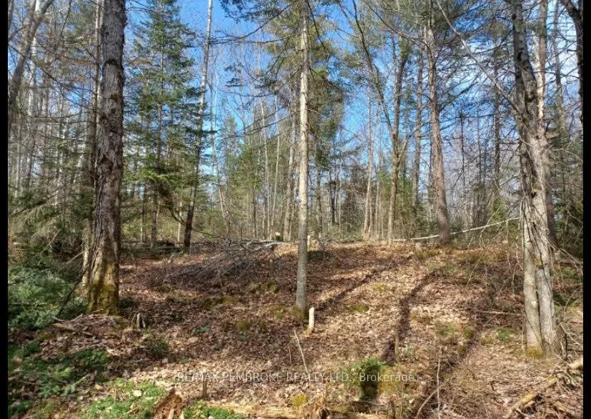 Photo 12 of 1678 Locksley Road, Laurentian Valley — HOMEH