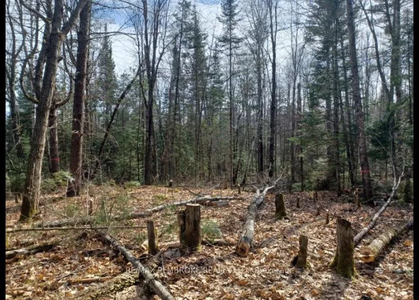 Photo 13 of 1678 Locksley Road, Laurentian Valley — HOMEH