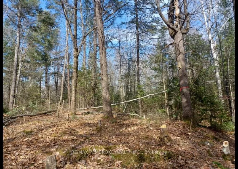 Photo 14 of 1678 Locksley Road, Laurentian Valley — HOMEH