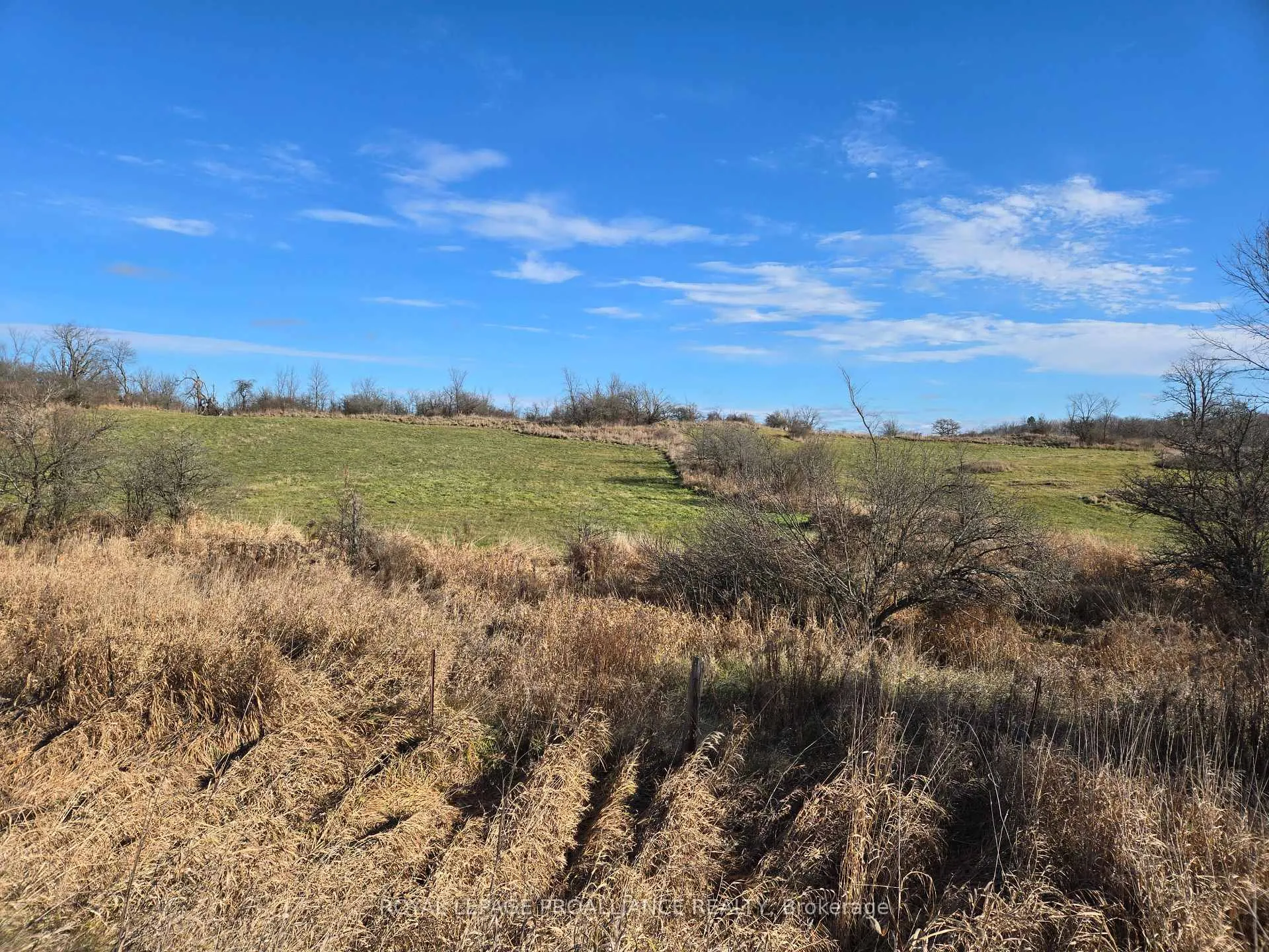 Photo 16 of Cooper Road, Madoc — HOMEH