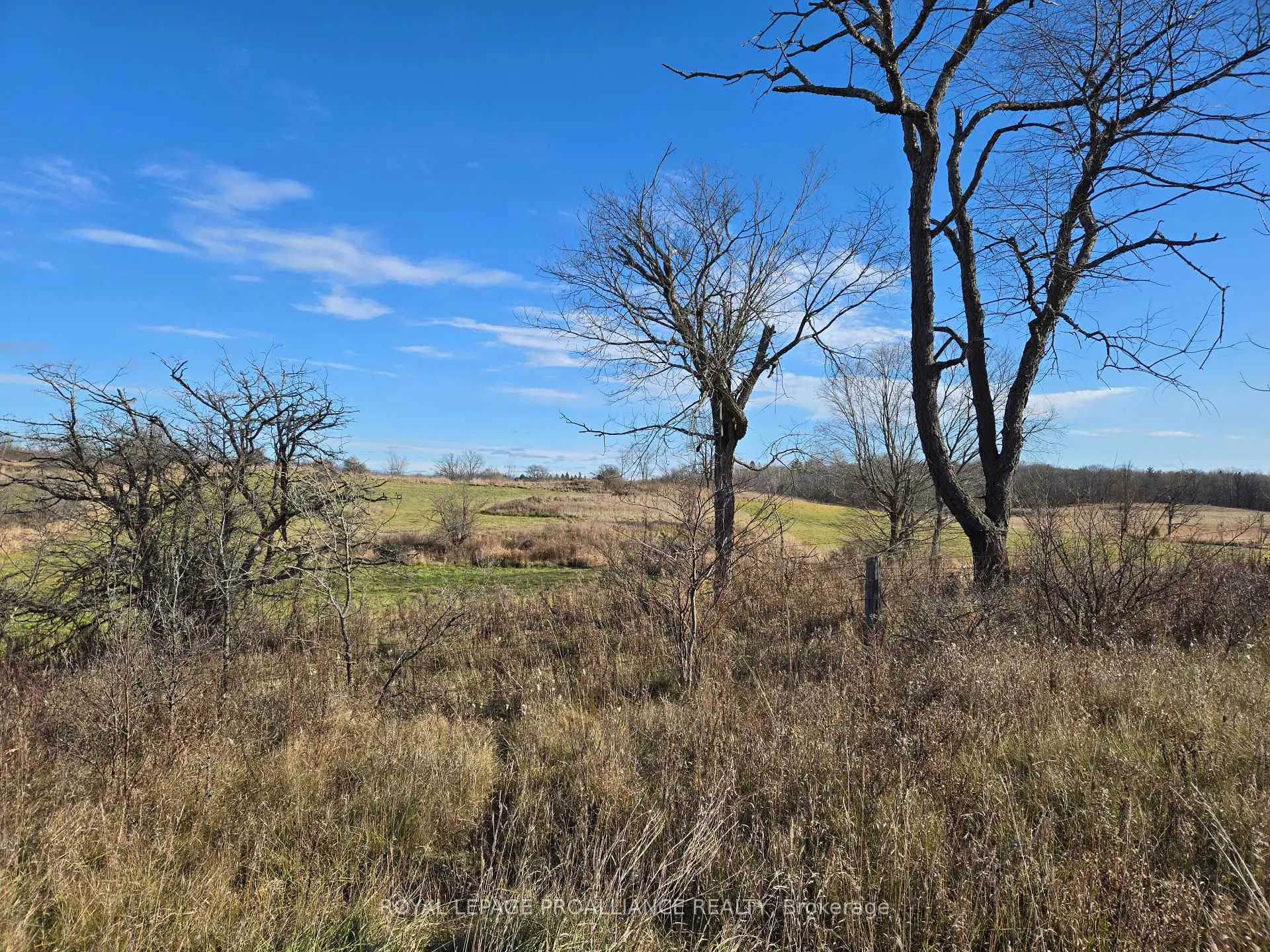 Photo 17 of Cooper Road, Madoc — HOMEH
