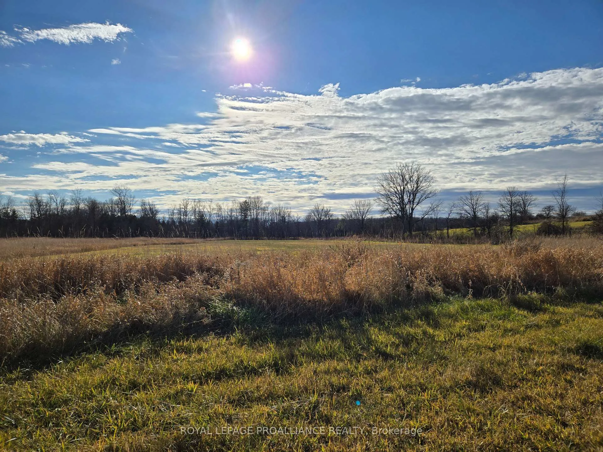 Photo 33 of Cooper Road, Madoc — HOMEH