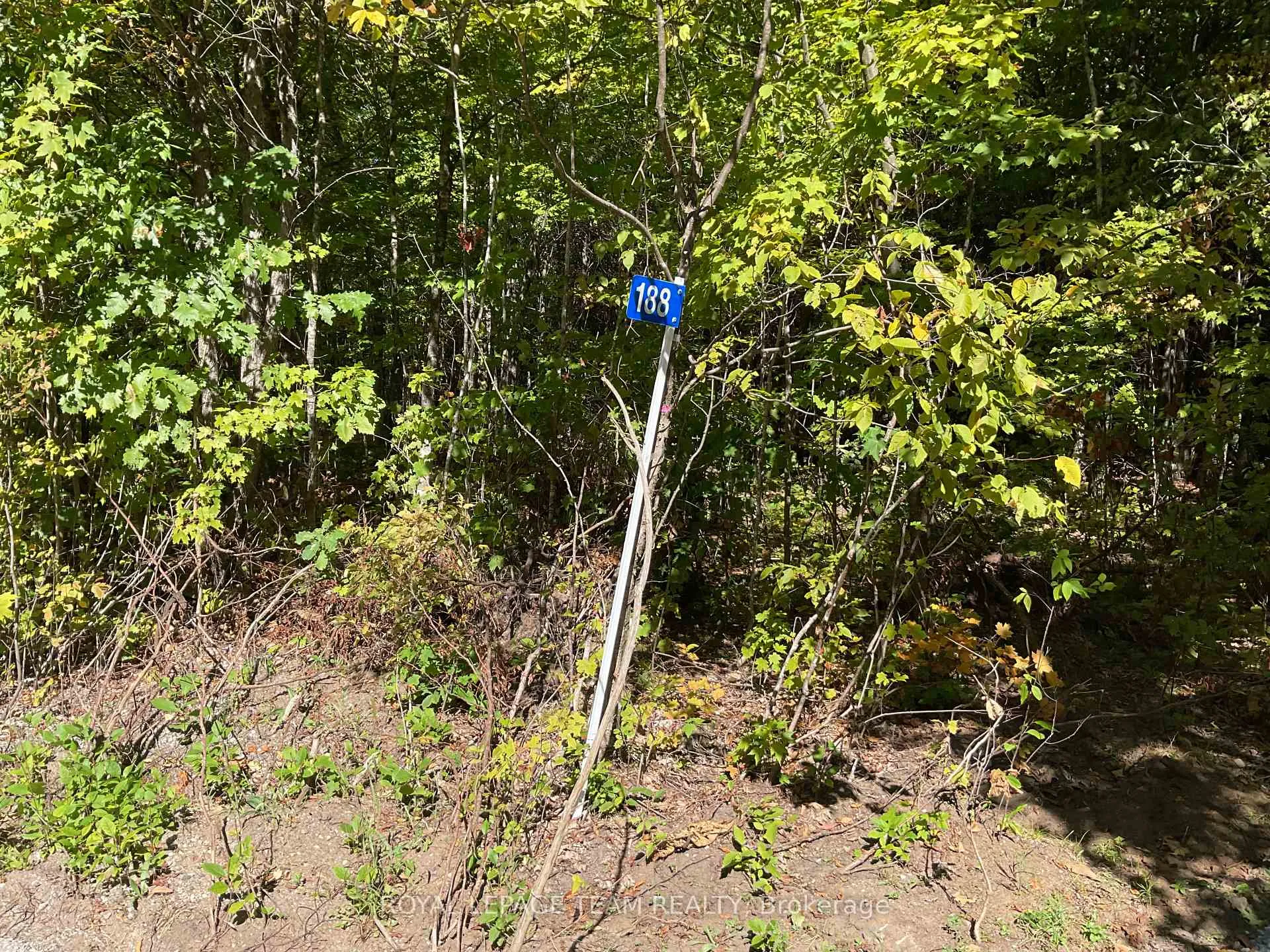 Photo 1 of 188 Con 9 Road, Lanark Highlands, Lanark Highlands (Lanark) Twp — HOMEH