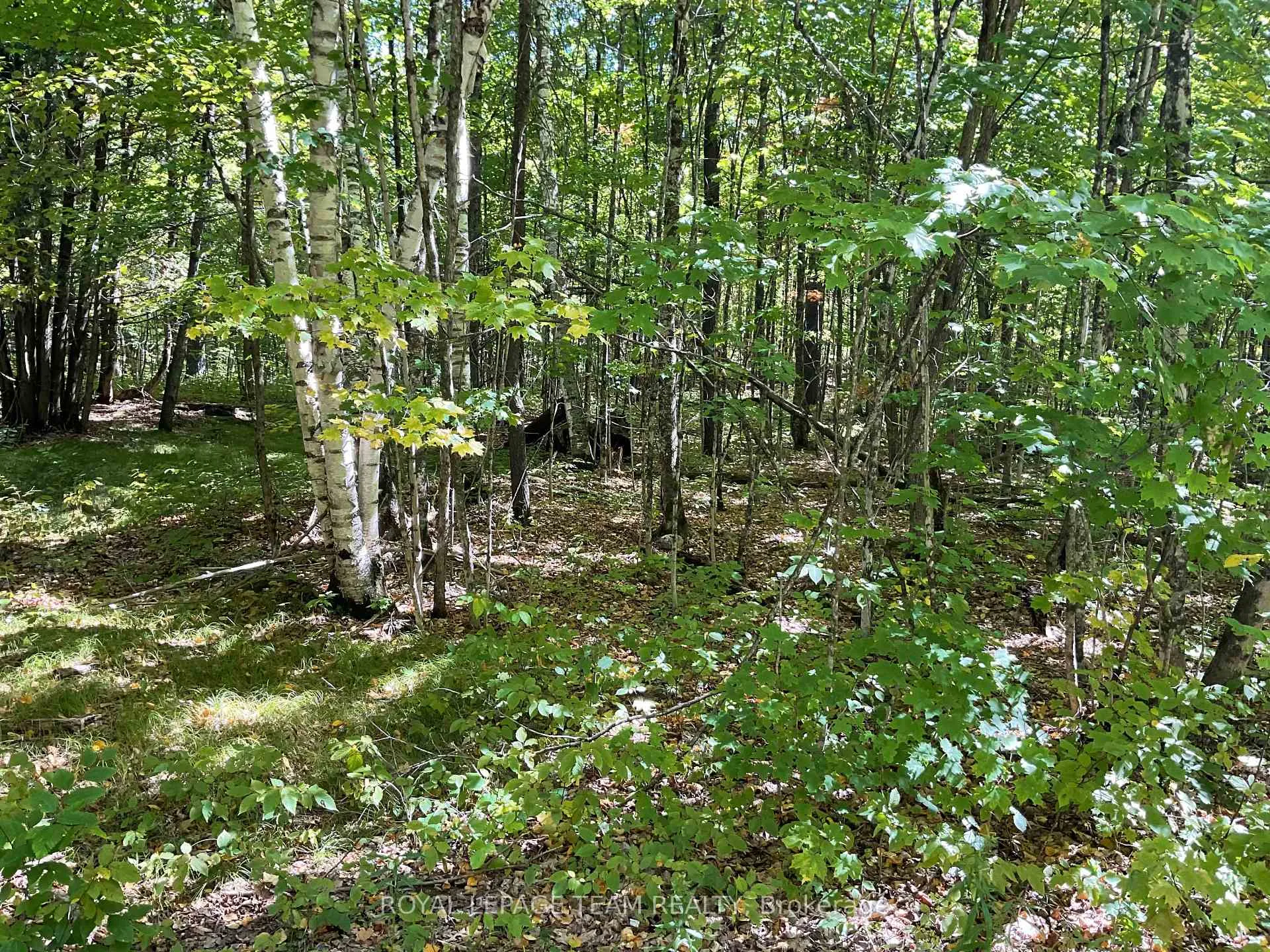 Photo 3 of 188 Con 9 Road, Lanark Highlands, Lanark Highlands (Lanark) Twp — HOMEH