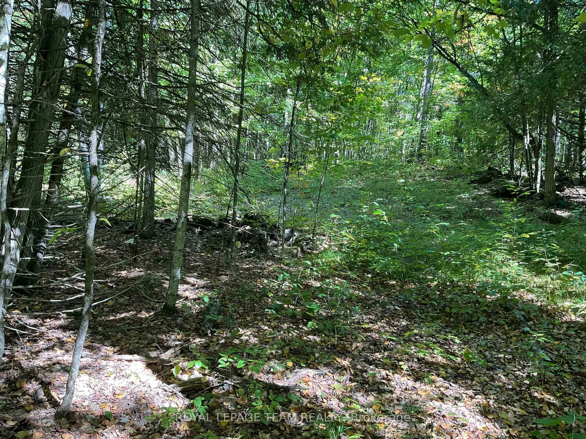 Photo 4 of 188 Con 9 Road, Lanark Highlands, Lanark Highlands (Lanark) Twp — HOMEH