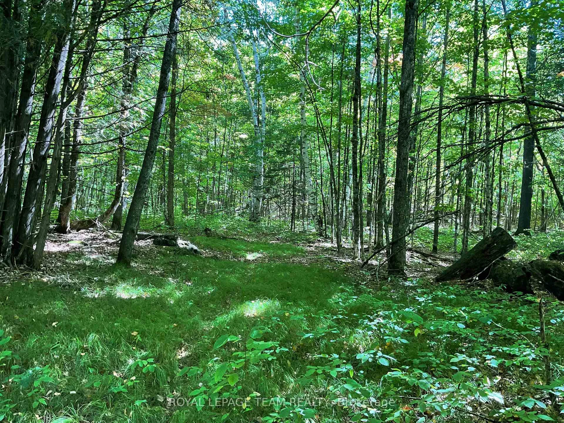 Photo 5 of 188 Con 9 Road, Lanark Highlands, Lanark Highlands (Lanark) Twp — HOMEH