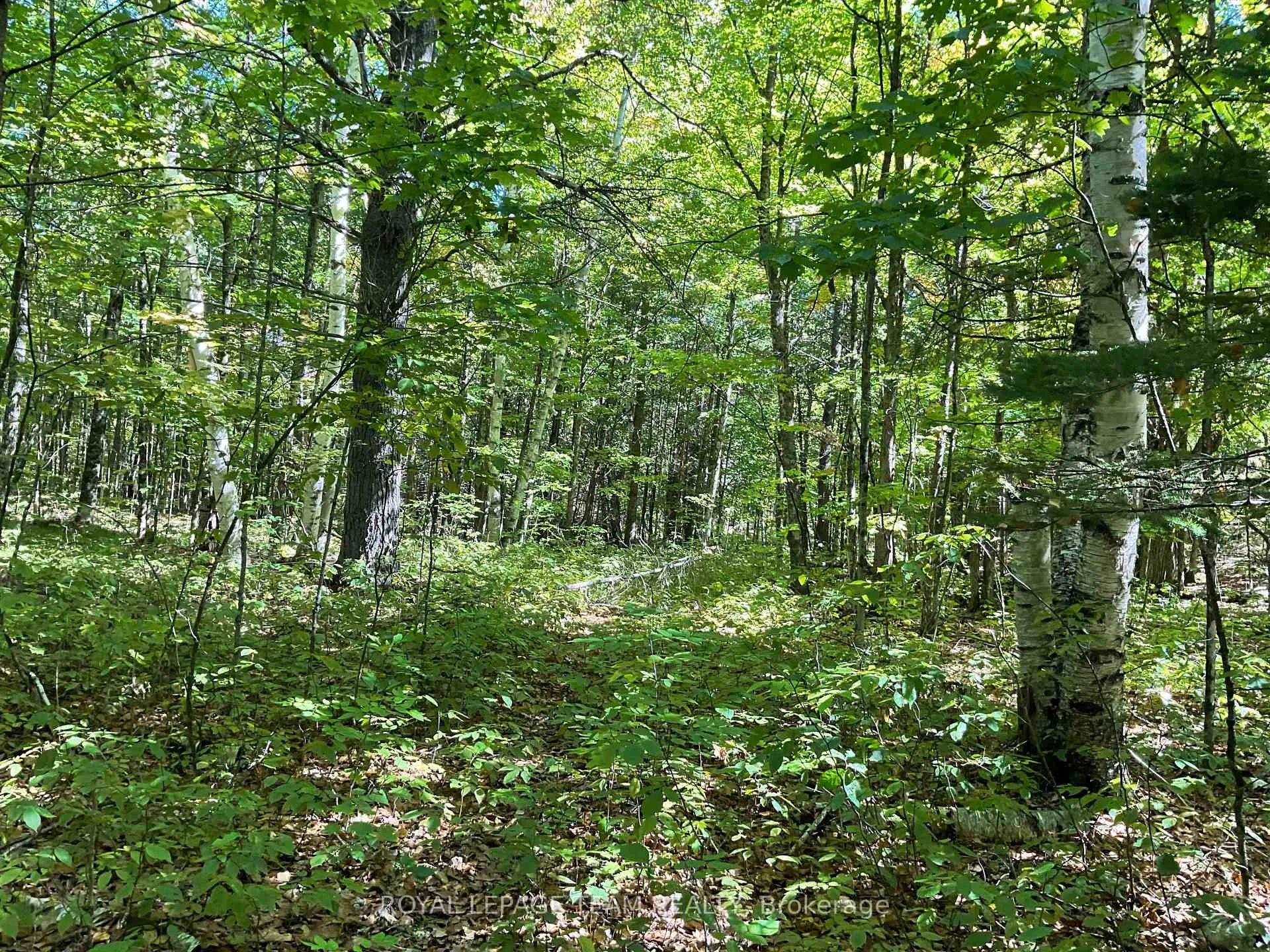 Photo 6 of 188 Con 9 Road, Lanark Highlands, Lanark Highlands (Lanark) Twp — HOMEH