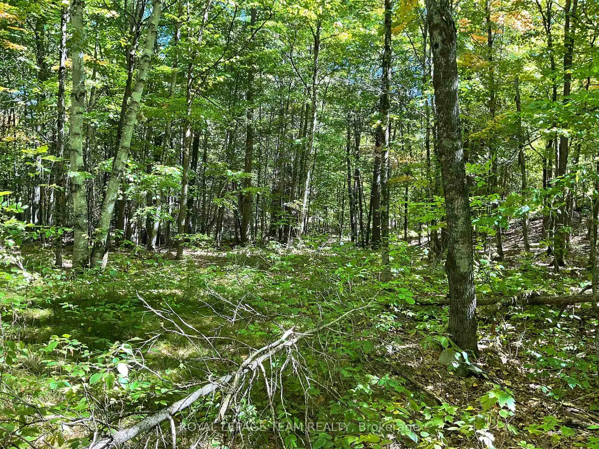 Photo 7 of 188 Con 9 Road, Lanark Highlands, Lanark Highlands (Lanark) Twp — HOMEH