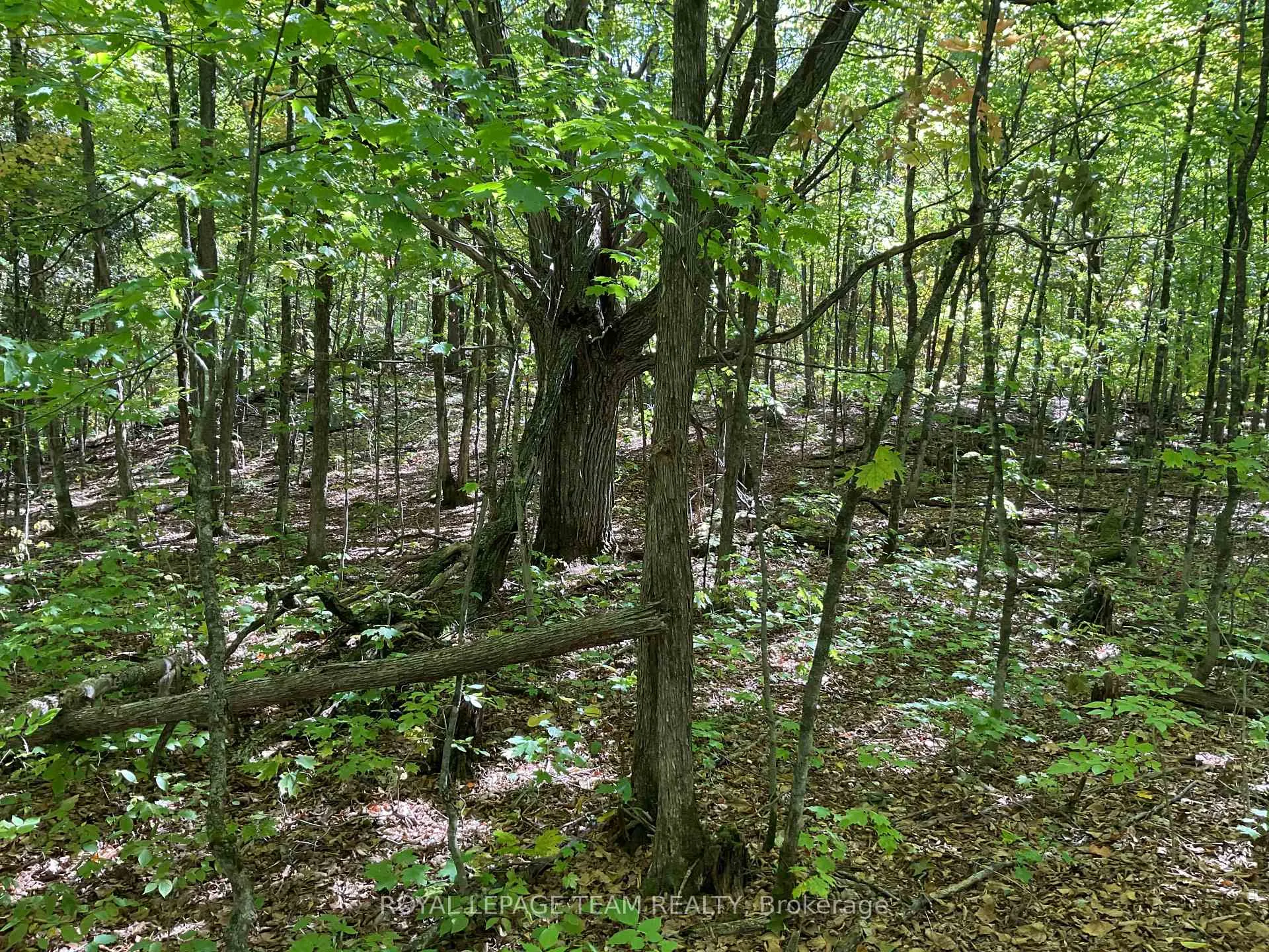 Photo 8 of 188 Con 9 Road, Lanark Highlands, Lanark Highlands (Lanark) Twp — HOMEH