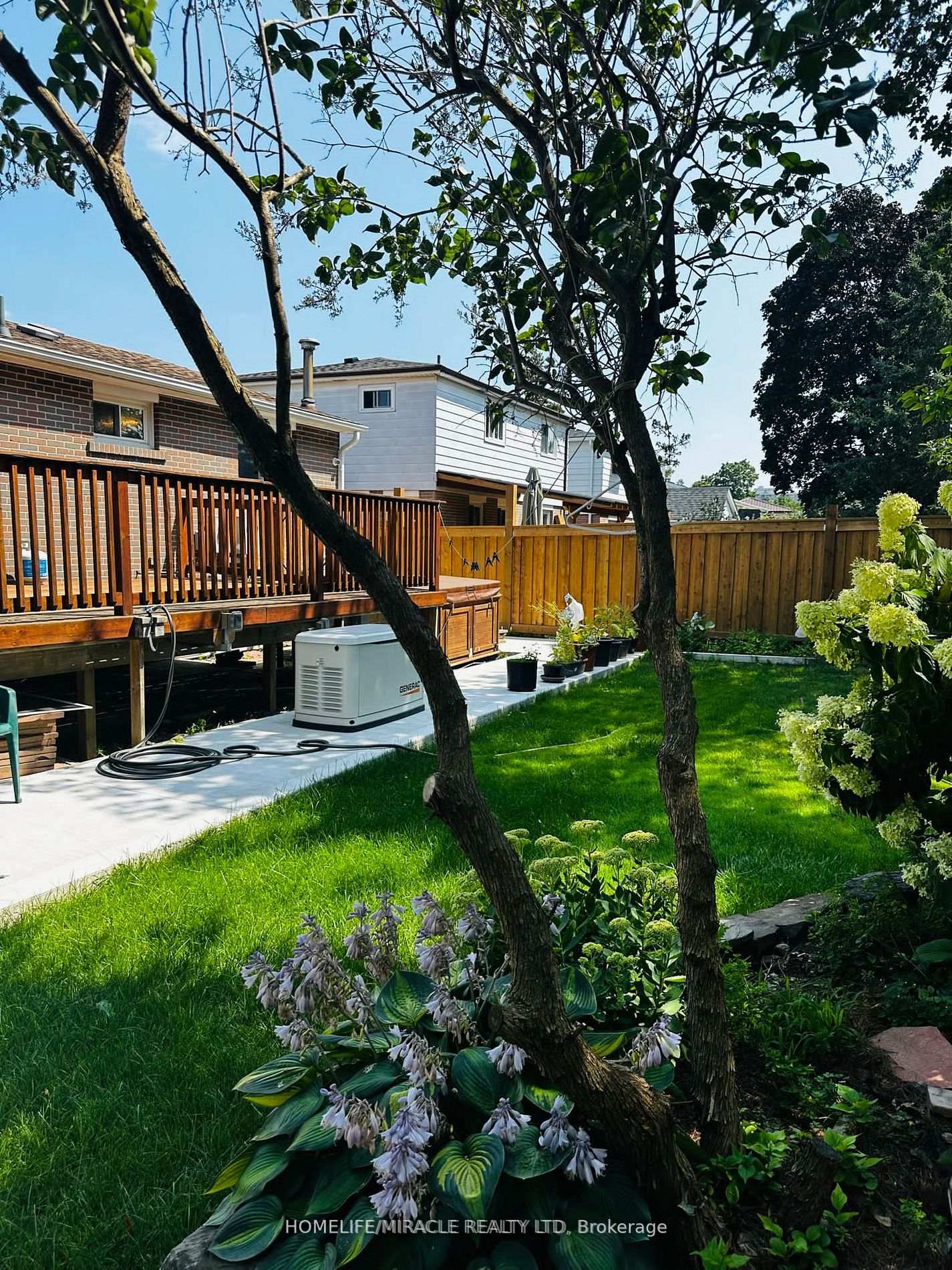 Photo 8 of 213 Mcmurchy Avenue S, Brampton, Brampton South — HOMEH