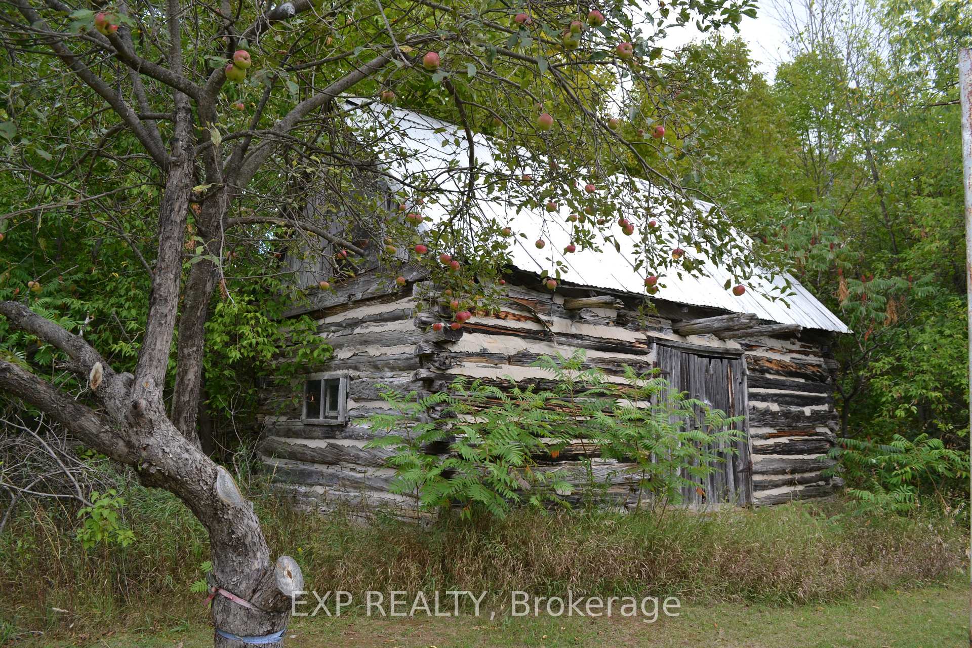 Photo 5 of 1650 Eady Road, Horton, Horton Twp — HOMEH