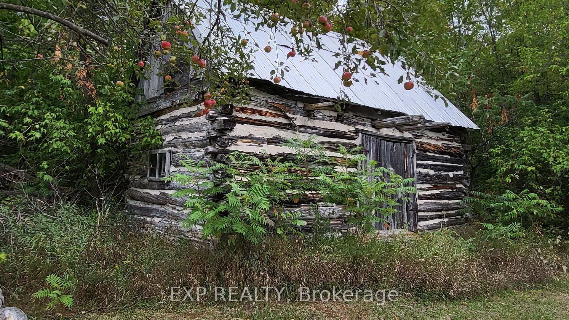 Photo 27 of 1650 Eady Road, Horton, Horton Twp — HOMEH